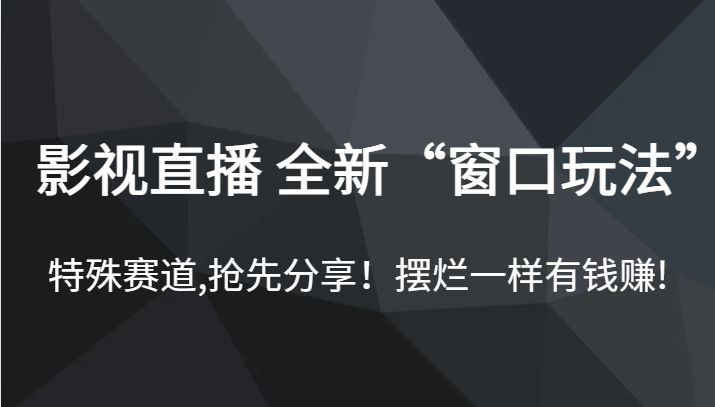 影视直播 全新“窗口玩法”，特殊赛道,抢先分享！摆烂一样有钱赚!-千城资源网