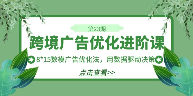 跨境广告·优化进阶课·第23期，8*15数模广告优化法，用数据驱动决策-千城资源网