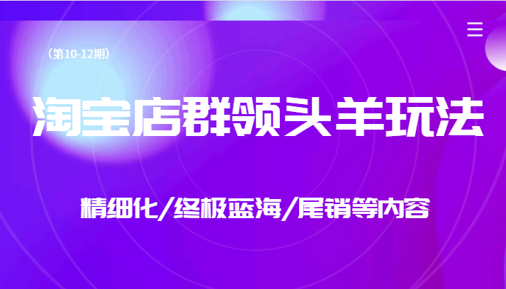 淘宝店群领头羊玩法，精细化/终极蓝海/尾销等内容（第10-12期）-千城资源网