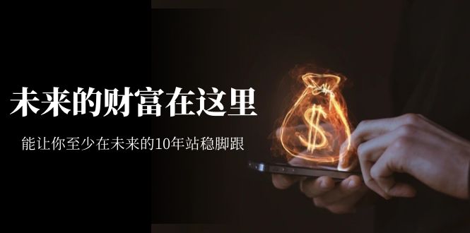 某收费文章《未来的财富在这里》能让你至少在未来的10年站稳脚跟-千城资源网