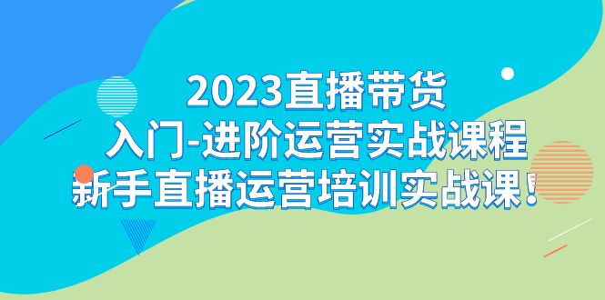 2023直播带货入门-进阶运营实战课程：新手直播运营培训实战课-千城资源网