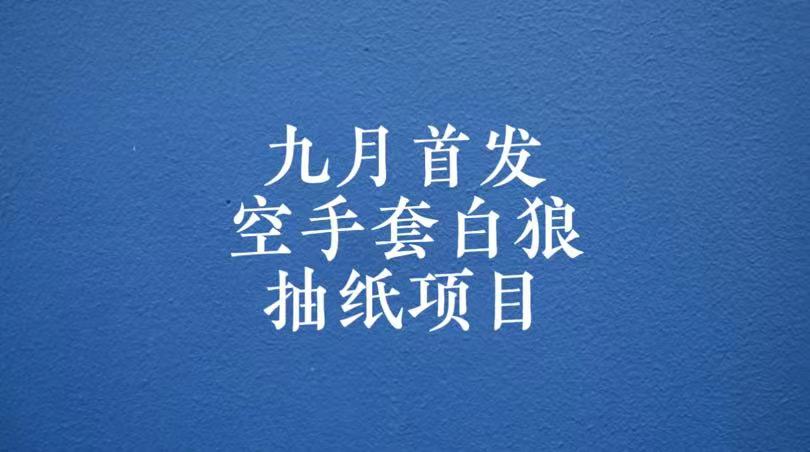 0成本，日入100-500空手套白狼抽纸项目，保姆级教学-千城资源网