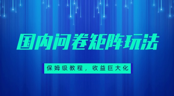 保姆级教程，国内问卷矩阵玩法，轻松赚收益-千城资源网