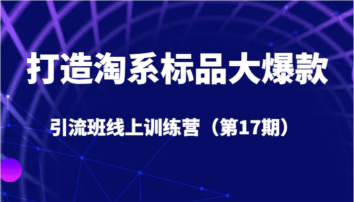 打造淘系标品大爆款引流班线上训练营（第17期）5天直播授课+1个月答疑-千城资源网