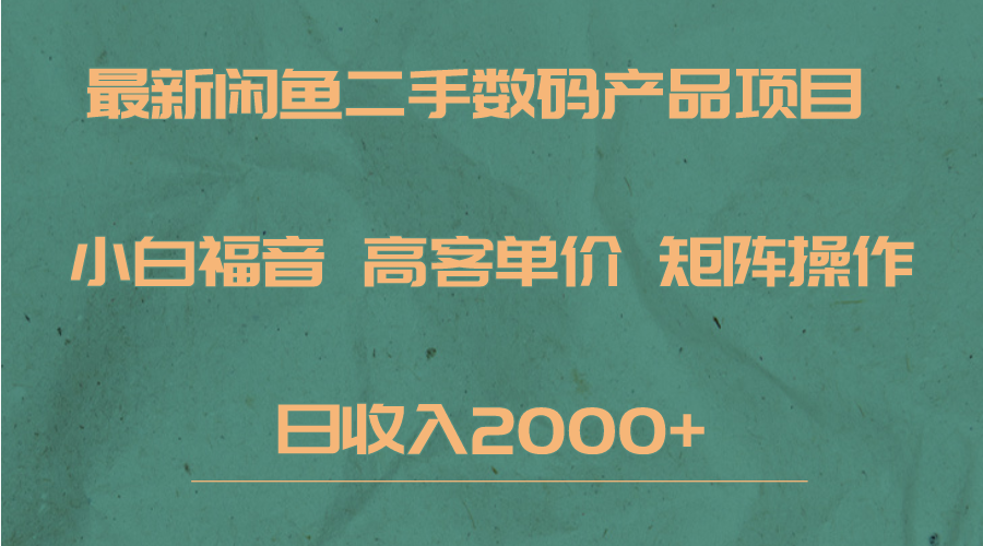 最新闲鱼二手数码赛道，小白福音，高客单价，矩阵操作，日收入2000+-千城资源网