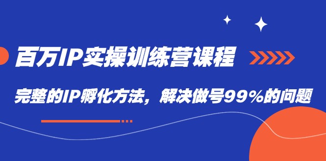 百万IP实战训练营课程，完整的IP孵化方法，解决做号99%的问题-千城资源网