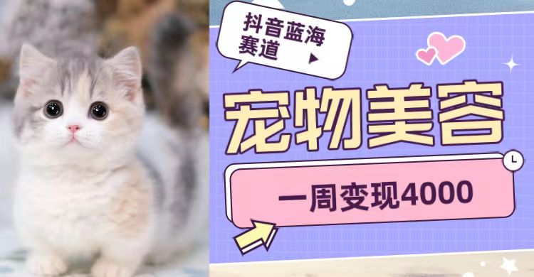 抖音蓝海赛道，宠物美容，一周变现4000-千城资源网