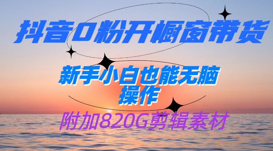 抖音0粉开橱窗带货，日入500+，新手小白也能无脑操作【附加820G剪辑资料】-千城资源网