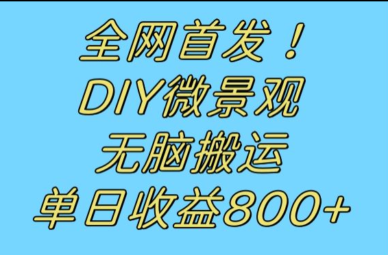 全网首发冷门赛道！DIY微景观，无脑搬运视频，日收益800+-千城资源网