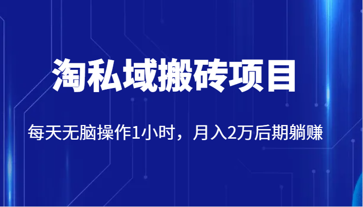 价值2980的淘私域搬砖项目，每天无脑操作1小时，月入2万后期躺赚-千城资源网