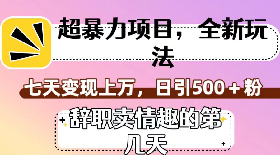 超暴利项目，全新玩法（辞职卖情趣的第几天），七天变现上万，日引500+粉-千城资源网