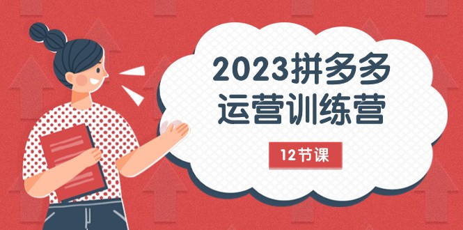 2023拼多多运营训练营：流量底层逻辑，免费+付费流量玩法（12节课）-千城资源网