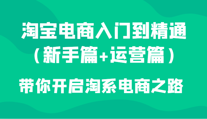 淘宝电商入门到精通（新手篇+运营篇）带你开启淘系电商之路-千城资源网