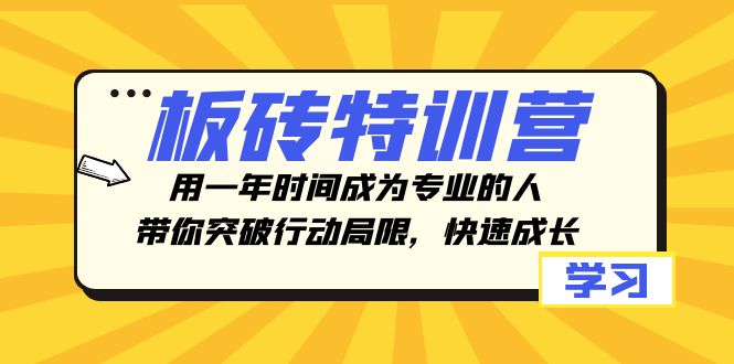 板砖特训营，用一年时间成为专业的人，带你突破行动局限，快速成长-千城资源网