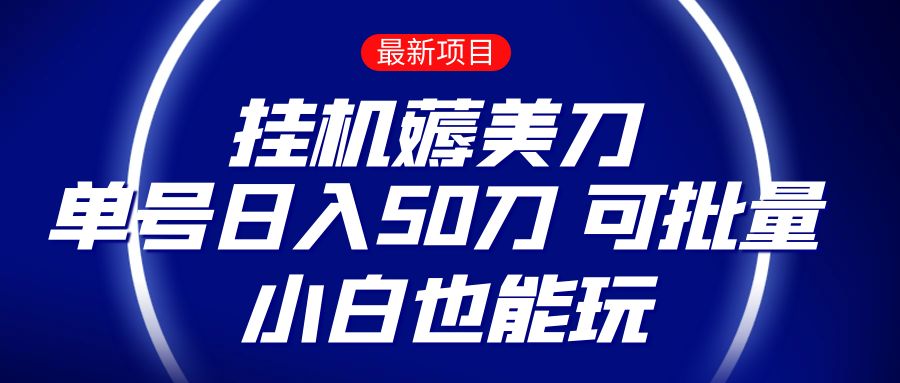 薅羊毛项目  零投入挂机薅美刀    单号日入50刀  可批量  小白也能玩-千城资源网