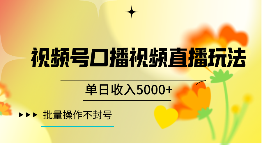 视频号口播视频直播玩法单日收入5000+，一种可以单号持续操作的玩法-千城资源网