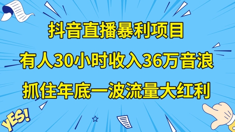 抖音直播暴利项目，有人30小时收入36万音浪，公司宣传片年会视频制作，抓住年底一波流量大红利【揭秘】-千城资源网