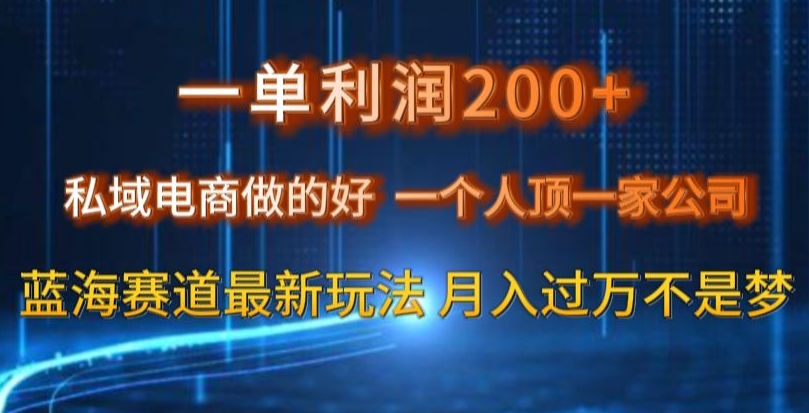 一单利润200私域电商做的好，一个人顶一家公司蓝海赛道最新玩法【揭秘】-千城资源网