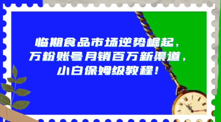 临期食品市场逆势崛起，万粉账号月销百万新渠道，小白保姆级教程【揭秘】-千城资源网