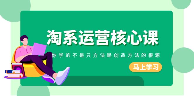 淘系运营核心课，你学的不只是方法而是创造方法的根源（190节课）-千城资源网