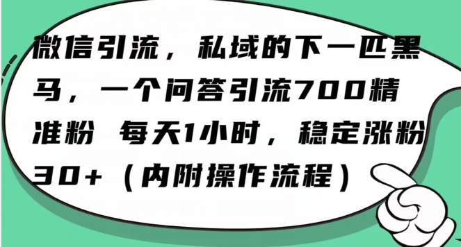 怎么搞精准创业粉？微信新赛道，每天一小时，利用Ai一个问答日引100精准粉-千城资源网