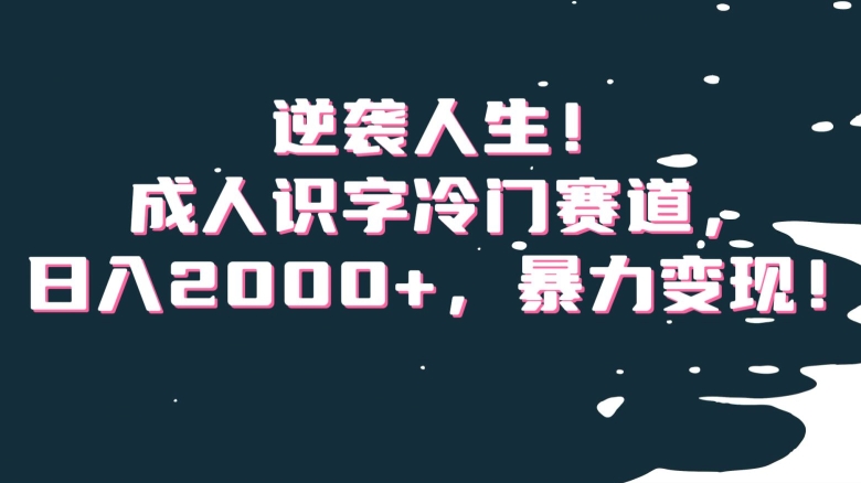 逆袭人生！成人识字冷门赛道，日入2000+，暴力变现！【揭秘】-千城资源网