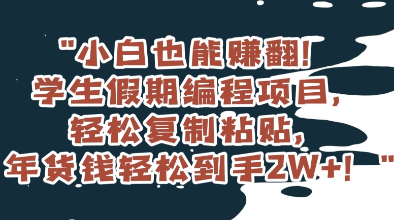 小白也能赚翻！学生假期编程项目，轻松复制粘贴，年货钱轻松到手2W+【揭秘】-千城资源网