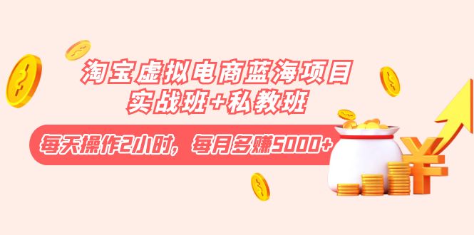 （4056期）淘宝虚拟电商蓝海项目实战班+私教班：每天操作2小时，每月多赚5000+-千城资源网
