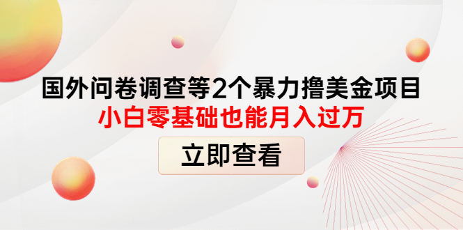 （4062期）国外问卷调查等2个暴力撸美金项目，小白零基础也能月入过万-千城资源网