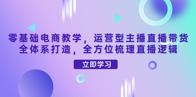 （4095期）零基础电商教学，运营型主播直播带货全体系打造，全方位梳理直播逻辑-千城资源网