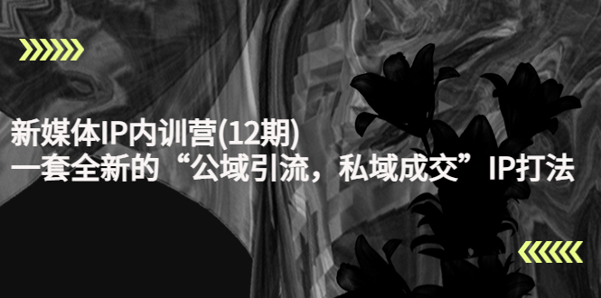（4103期）新媒体IP内训营(12期)，一套全新的“公域引流，私域成交”IP打法，直接带走-千城资源网