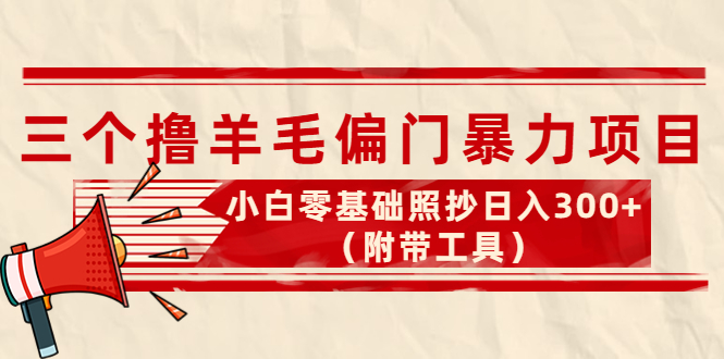 （4110期）外面卖998的三个撸羊毛偏门暴力项目，小白零基础照抄日入300+（附带工具）-千城资源网