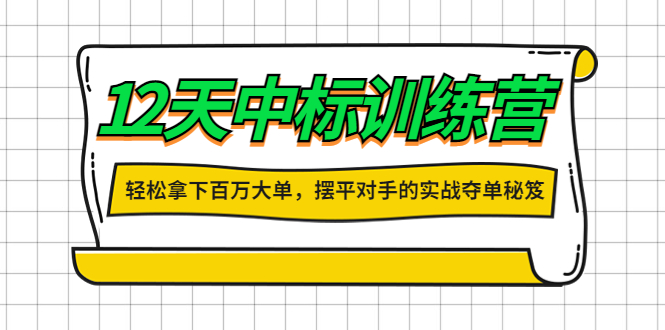 （4116期）12天中标训练营：轻松拿下百万大单，摆平对手的实战夺单秘笈！-千城资源网