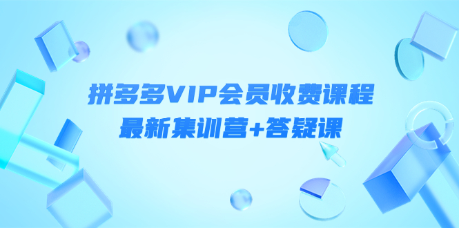 （4127期）某社群·拼多多VIP会员收费课程，最新集训营+答疑课-价值3299元-千城资源网