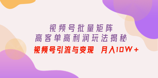 （4193期）视频号批量矩阵的高客单高利润玩法揭秘： 视频号引流与变现 月入10W+-千城资源网