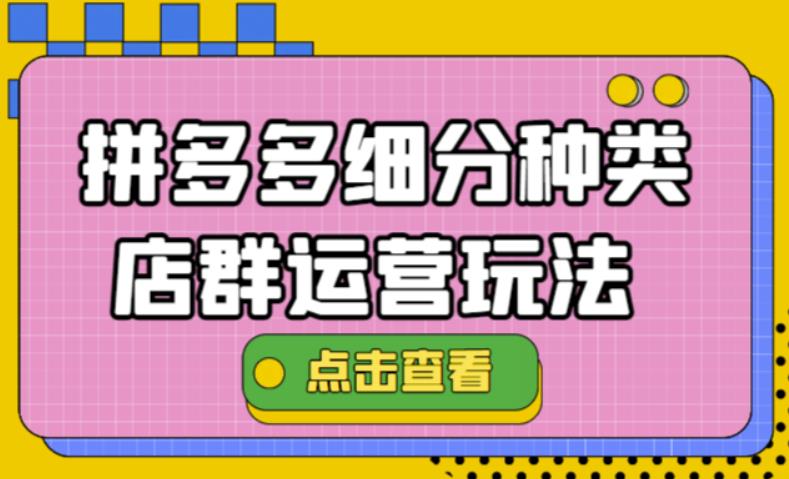 （4373期）拼多多细分种类店群运营玩法3.0，11月最新玩法，小白也可以操作-千城资源网