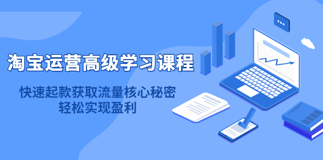（4385期）淘宝运营高级学习课程：快速获取流量核心秘密，轻松实现盈利！-千城资源网