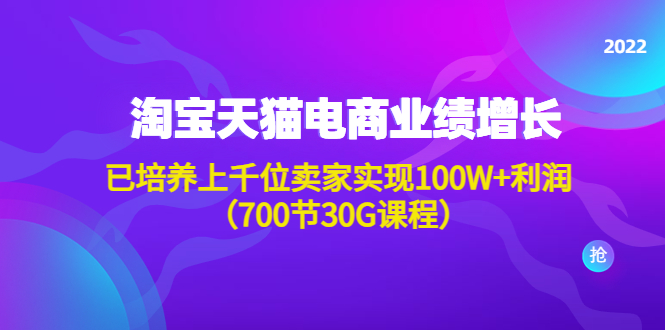 （4409期）淘系天猫电商业绩增长：已培养上千位卖家实现100W+利润（700节30G课程）-千城资源网