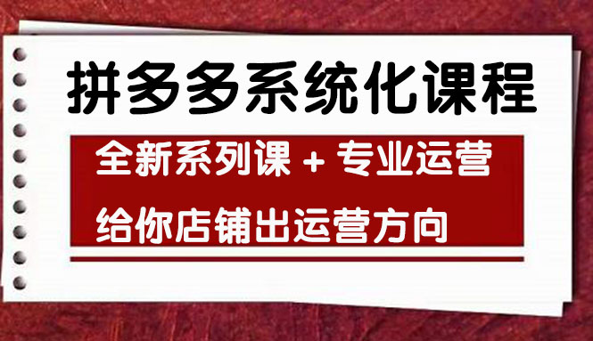（4259期）车神陪跑，拼多多系统化课程，全新系列课+专业运营给你店铺出运营方向-千城资源网