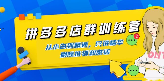 （4318期）拼多多店群训练营：从小白到精通，只讲精华，剔除推销和废话-千城资源网
