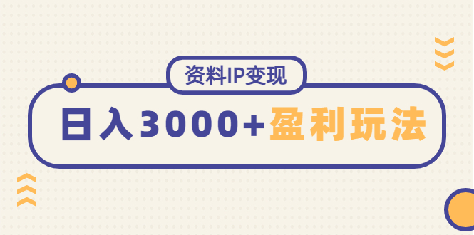（4576期）资料IP变现，能稳定日赚3000起的持续性盈利玩法-千城资源网
