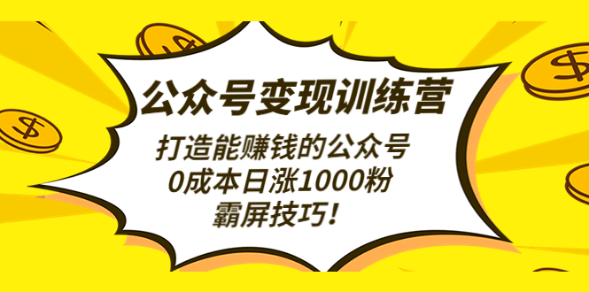 （4585期）公众号变现训练营（第3期）打造能赚钱的公众号，0成本日涨1000粉，霸屏技巧-千城资源网
