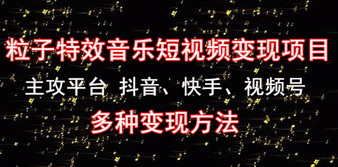 （4586期）《粒子特效音乐短视频变现项目》主攻平台 抖音、快手、视频号 多种变现方法-千城资源网