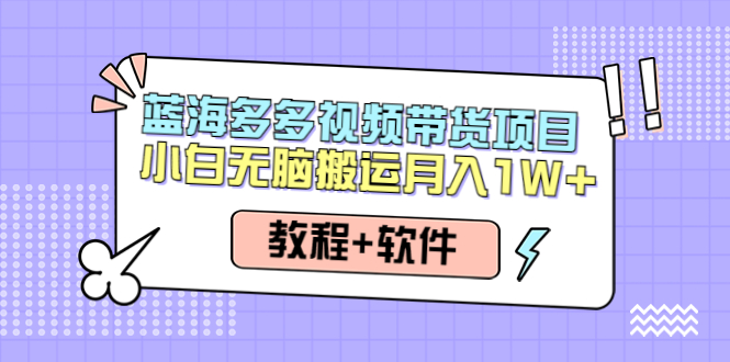 （4343期）人人都能操作的蓝海多多视频带货项目 小白无脑搬运月入10000+（教程+软件）-千城资源网