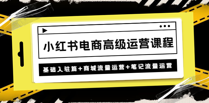 （4638期）小红书电商高级运营课程：基础入驻篇+商城流量运营+笔记流量运营-千城资源网