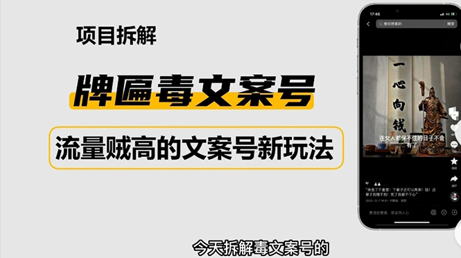 （4676期）2023抖音快手毒文案新玩法，牌匾文案号，起号快易变现-千城资源网