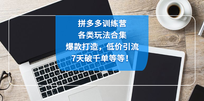（4693期）拼多多训练营：各玩法合集，爆款打造，低价引流，7天破千单等等！-千城资源网