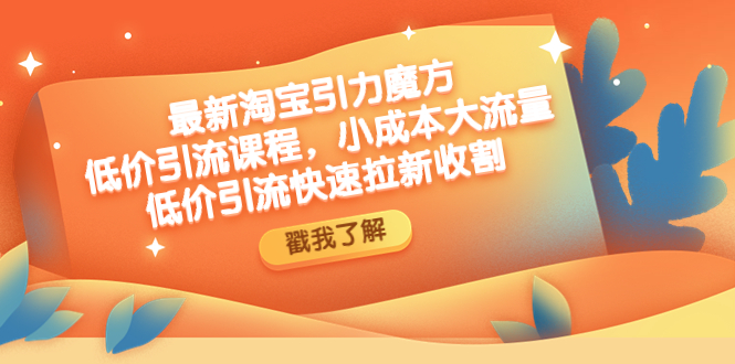 （4708期）最新淘宝引力魔方低价引流实操：小成本大流量，低价引流快速拉新收割-千城资源网