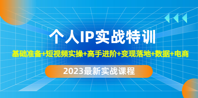 （4735期）2023个人IP实战特训：基础准备+短视频实操+高手进阶+变现落地+数据+电商-千城资源网