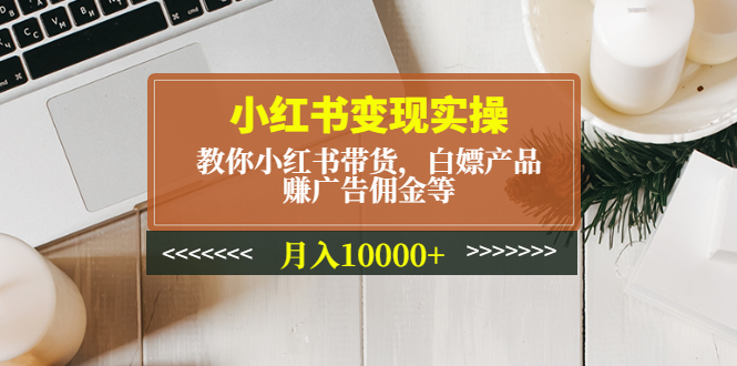 （4780期）小红书变现实操：教你小红书带货，白嫖产品，赚广告佣金等，月入10000+-千城资源网